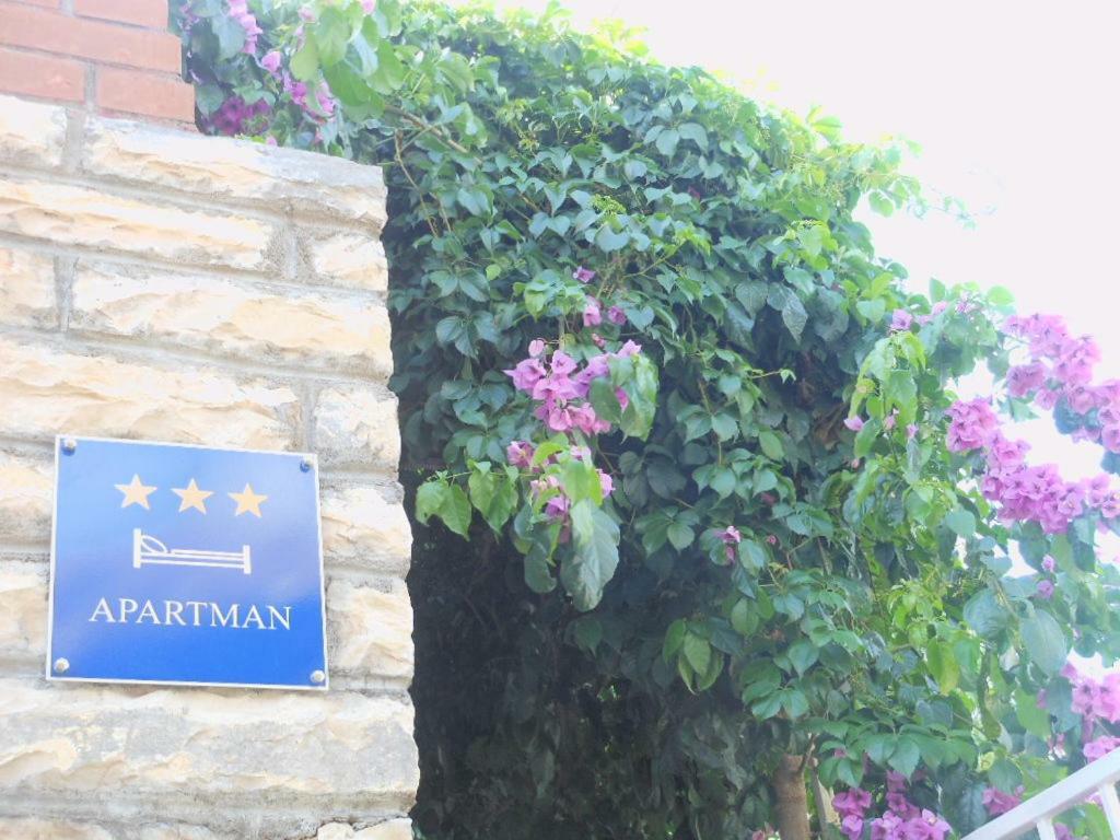 Villa Anna Milna  Kültér fotó